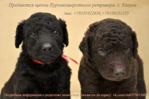 ����� ���������������� ���������