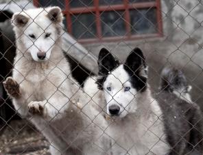 �������� ���������� ������