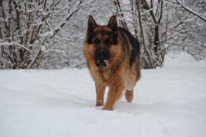 ������� ����� ���� ���