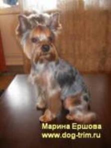 ������� �����. ������� �����. ����� �������