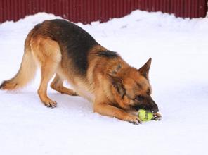 ����� �������� ��������� ������ �������� �������