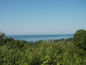 ������ ��� ��������� �������!