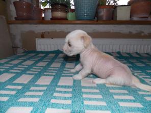 ����� ��������� �������� ������