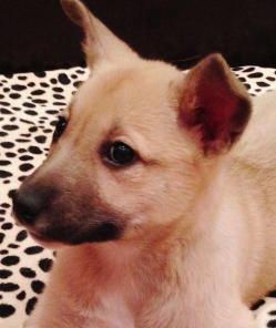 ����� � ��� ������ ��������� �����.