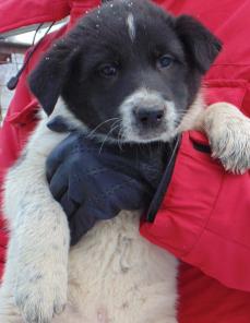 ����� � ��� ������������ �����.