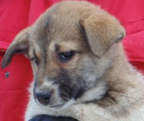 ����� � ��� ��������� �����.