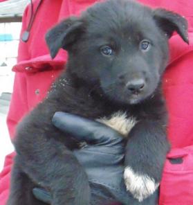 ����� � ��� ���������� ����������.