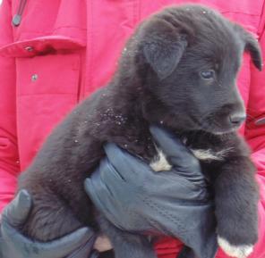 ����� � ��� ���������� ����������.