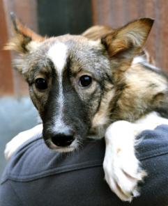 �����������, ���������� ������ ���� �������!