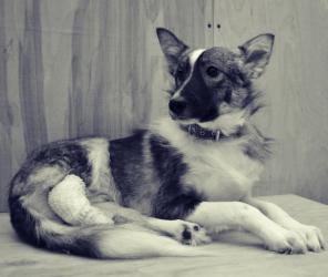 �����������, ���������� ������ ���� �������!