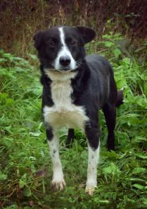 ����������� ������� ������� ���� �����!!!