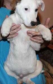 �����, ��� ���� ��� �������