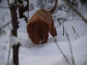 ����� ���������� ����