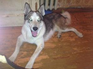 ��������� ���������������� ����� � �����������