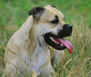 ����� �� �� �� ��� ������