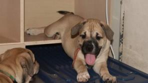 ����� �� �� �� ��� ������