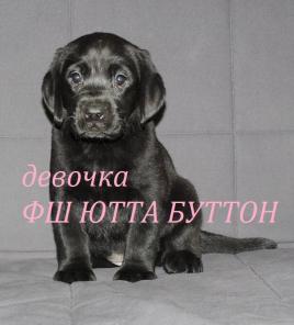 ����� ��������� ���������