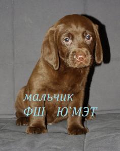 ����� ��������� ���������