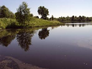 ������ 256 �� (�\�) , 14 �� (���).