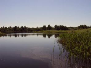 ������ 256 �� (�\�) , 14 �� (���).