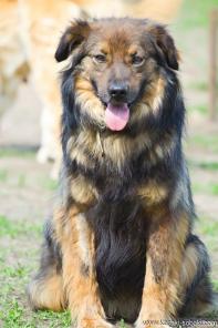 �������� ������� ����� � ������ ����