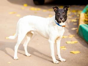 ����� ��� ���� � ������ ����. ������ ���� ��������� � �������� � ���