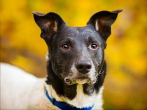 ����� ��� ���� � ������ ����. ������ ���� ��������� � �������� � ���