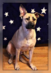 ����� � ������ ����