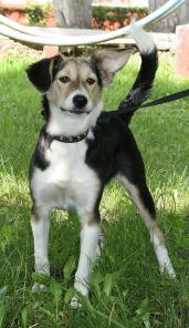 ���� ���� �����