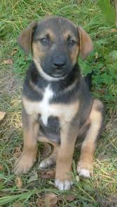 Стань моим другом, возьми меня себе.