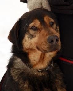 ������� ��������� ���� � �������� �� ������ � ���