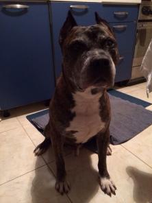 ���������� �������