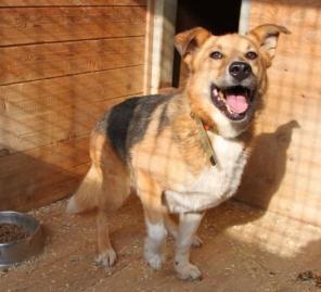 ������ ���� ���