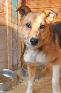 ������ ���� ���