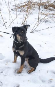 � ����� ������ ����