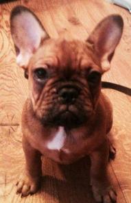 ����� ������������ �������� �������� ������