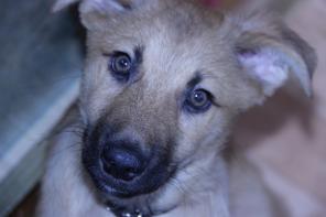 ����� ���� �����! �����, � ������ ����)