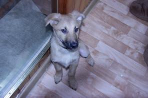 ����� ���� �����! �����, � ������ ����)