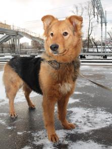 ������� ������ ������� � ������ ����. �������, �� � �������� ��������