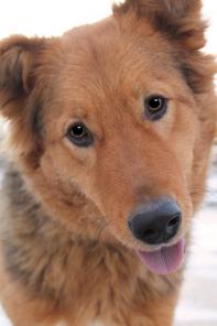 ������� ������ ������� � ������ ����. �������, �� � �������� ��������