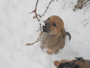 ����� � ������ ����, 2 ������!