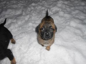 ����� � ������ ����, 2 ������!