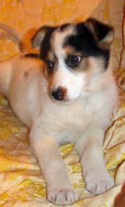 �������� ����� ���� ���.