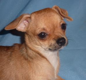 �����  ��������