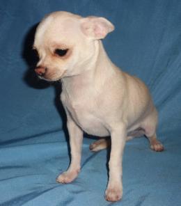 �����  ��������