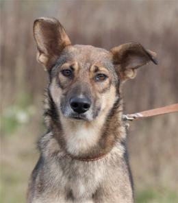 ����, �������� ����������� ������� ��� ����� � ���