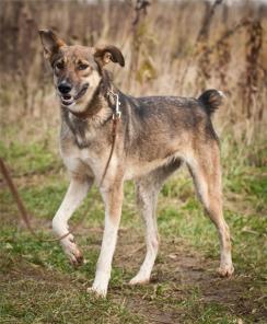 ����, �������� ����������� ������� ��� ����� � ���