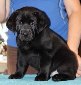 �������������� ����� ���������.