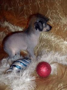 ����� ��������� �������� ������