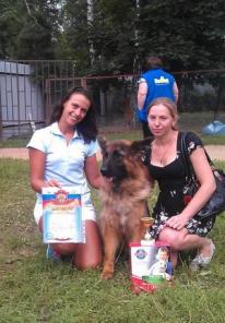 Щенки немецкой овчарки длинношерстные